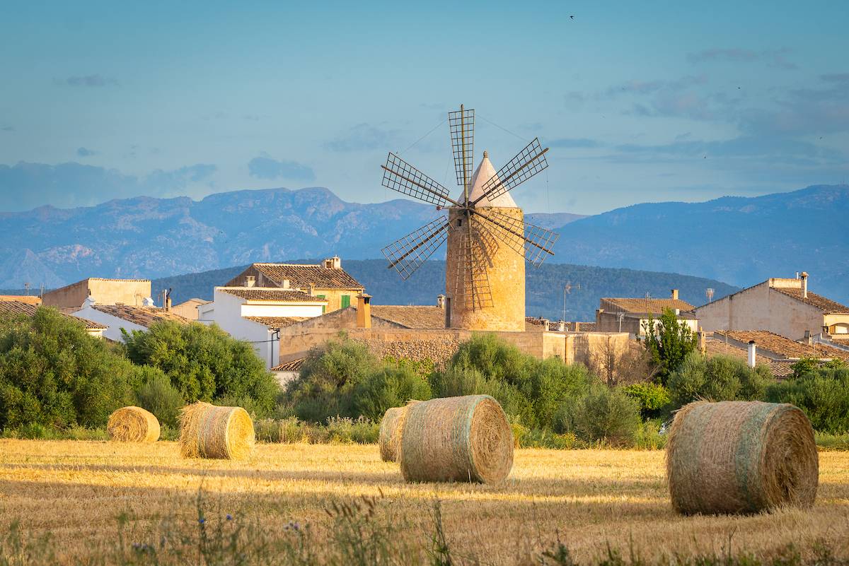 Molinos del Pla 1