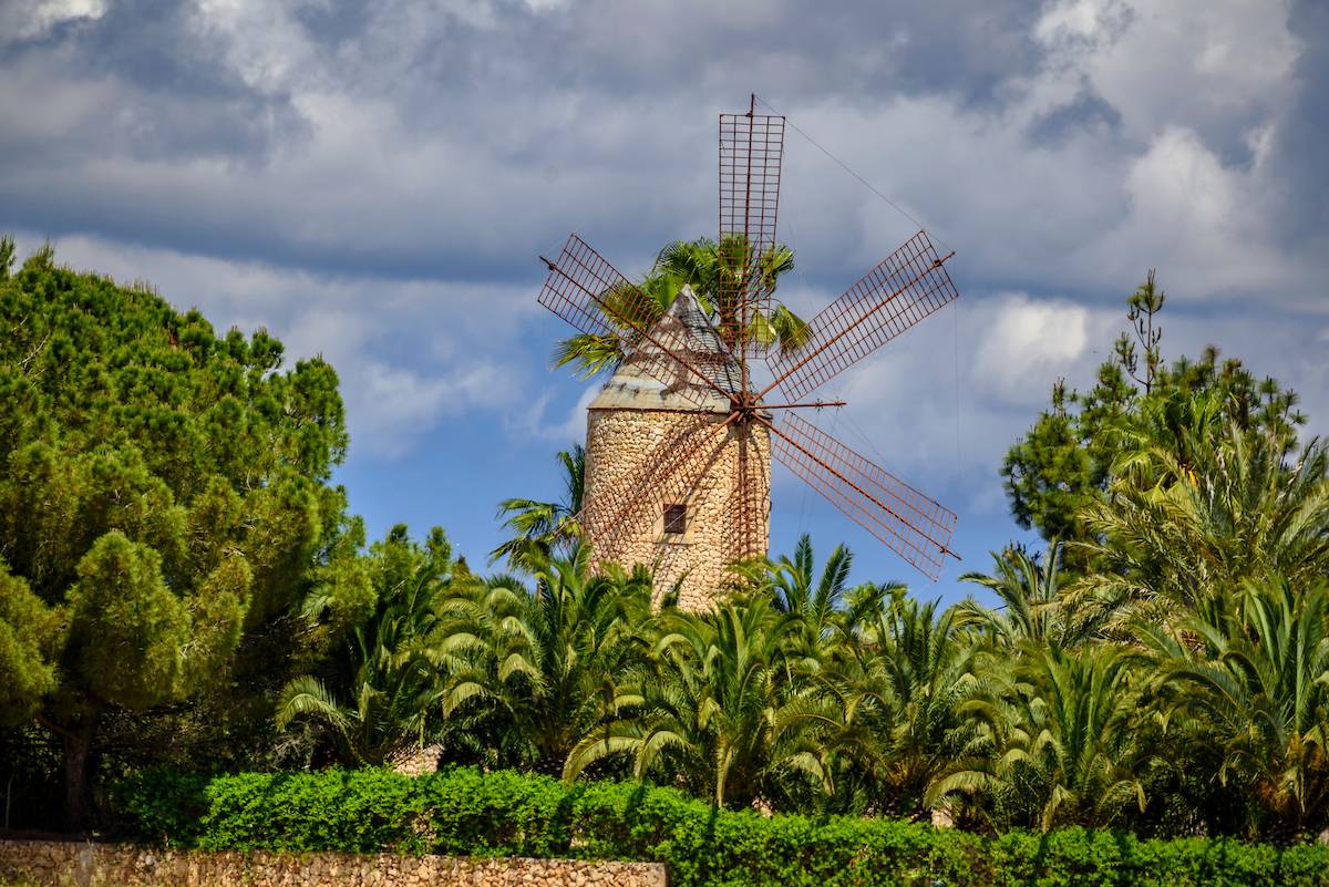 Molinos del Pla 2