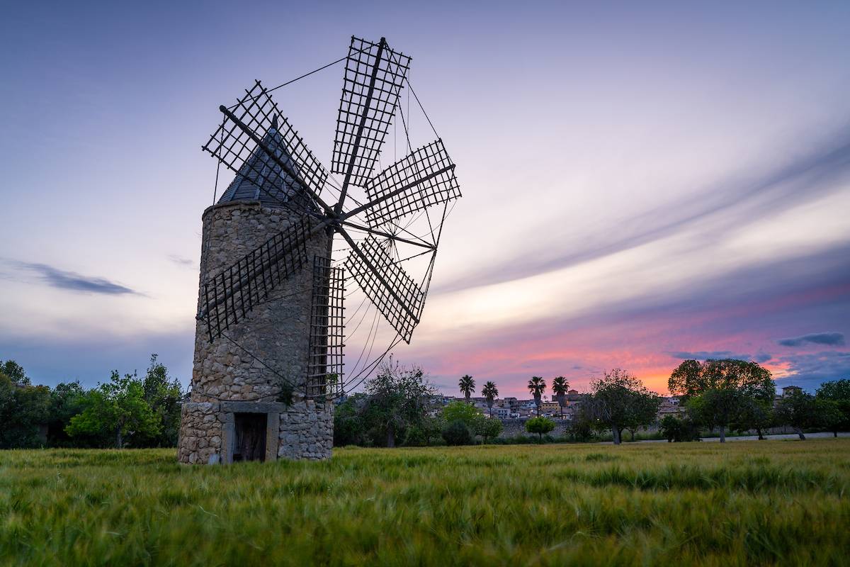 Molinos del Pla 3