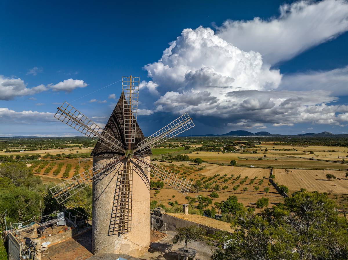 Molinos del Pla 4