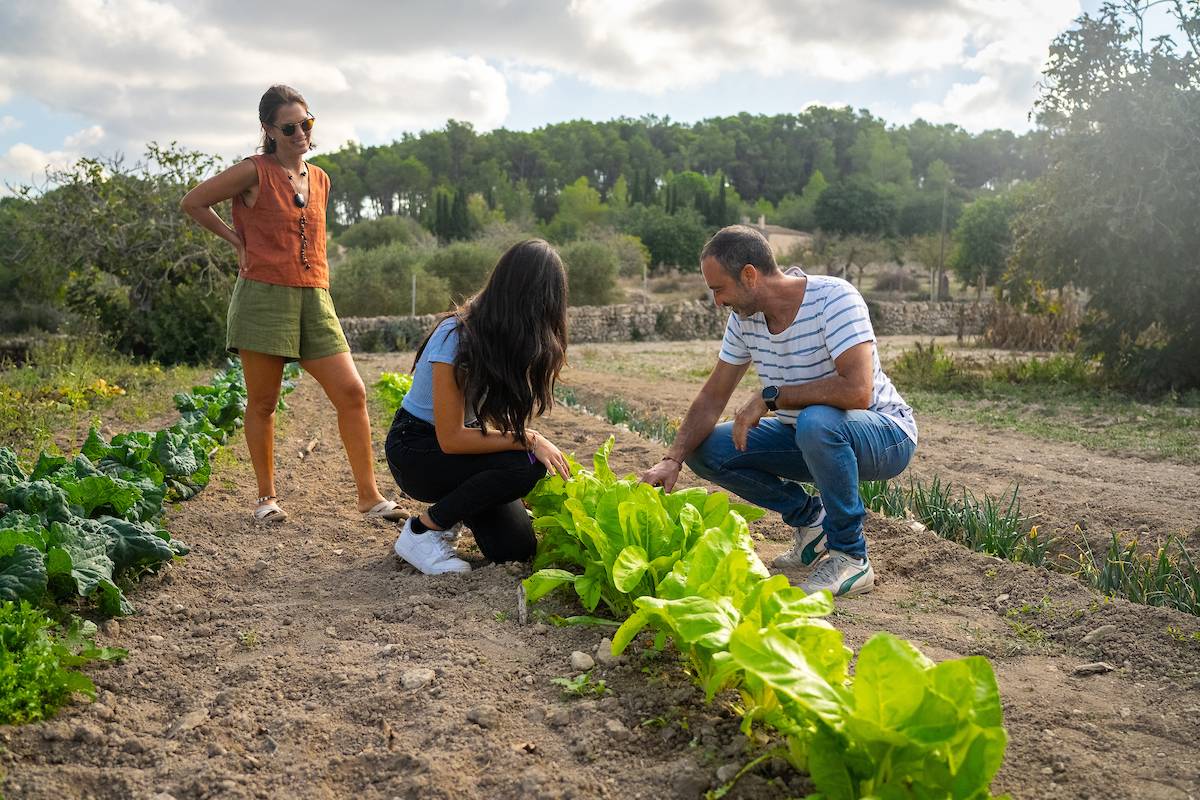 Turismo gastronómico 2